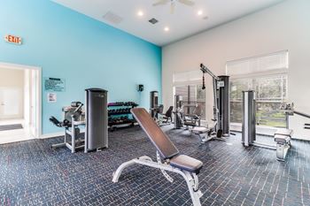 A gym with a variety of equipment including a treadmill, weights, and a bench.
